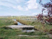 Cuckmere Valley